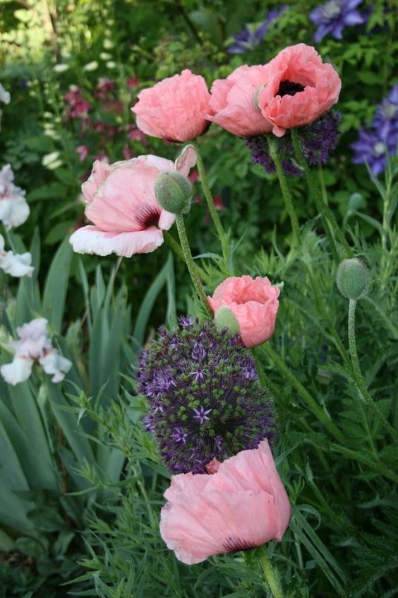 Trendy ogrodowe wiosna lato 2019